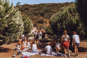 João Jungle