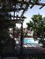 João Jungle