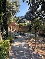 Fantastic Garden