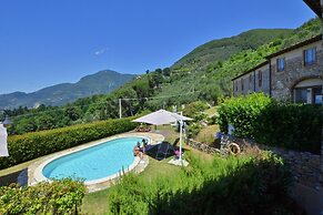Ginepro Grillo in Camaiore