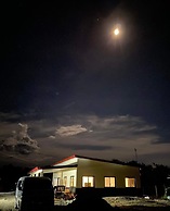Live N Love