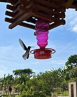 Hotel Casa Campestre HH