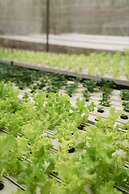 Kusfarm Bali by AHM
