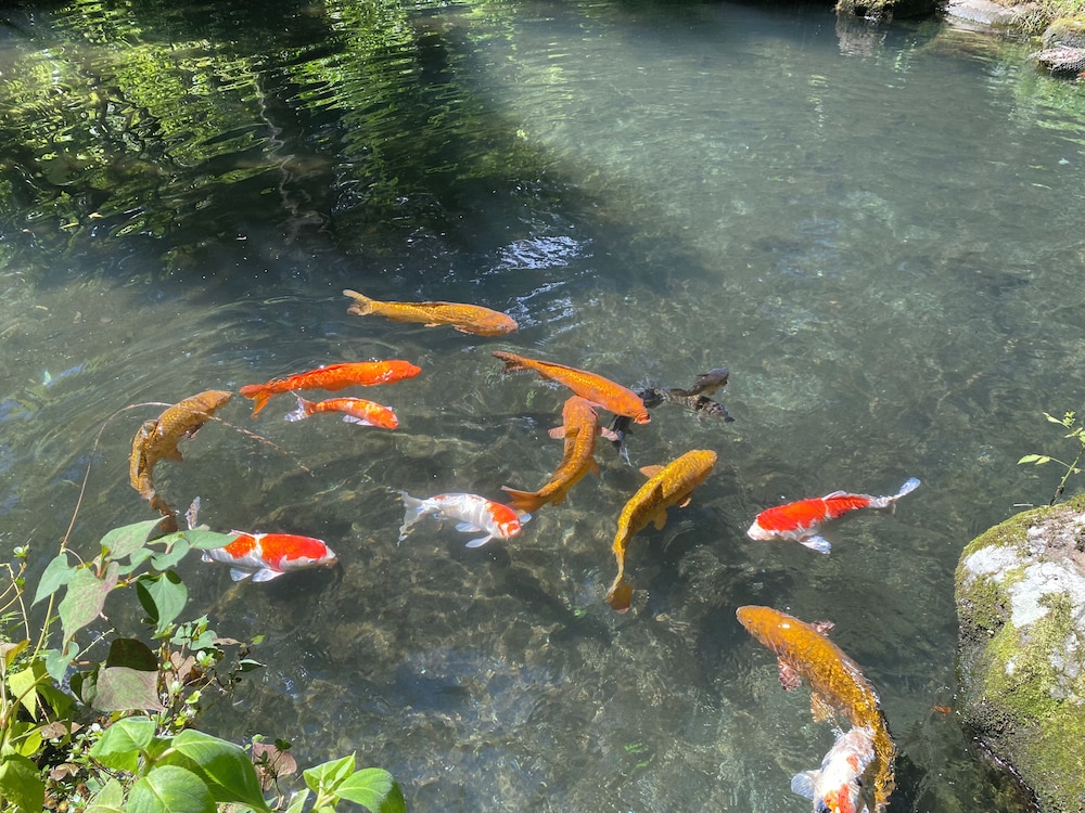 Hakone Kowakien