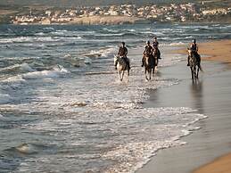 Is Arenas Resort
