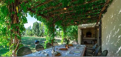 La Casa nei Vigneti 10