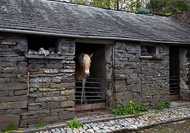 Jane's Cottage