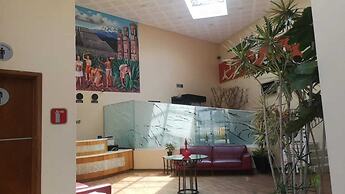 Hotel Plaza Pachuca