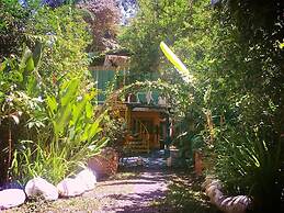 Madre Selva Jungle Hostel