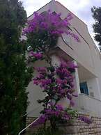 Guesthouse Punta Mira - Beachfront