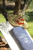 Dar Noujoum