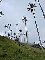 MuchoSur Quimbaya