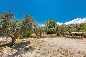 2526 Trullo Limone by Perle di Puglia