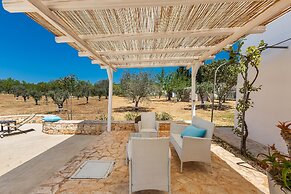 2530 Trullolive by Perle di Puglia