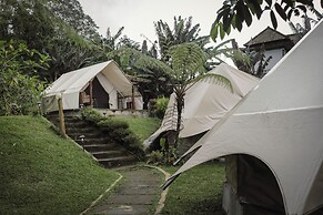 Alamu