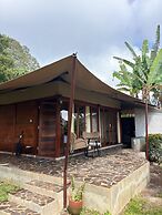 Alamu