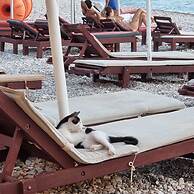 Hotel Mercury Saranda