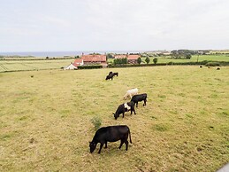Links View