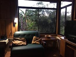 Birds & Breakfast