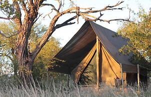 Bundox Explorer Camp