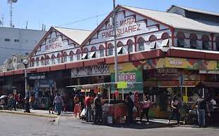Dodo Plaza Machado