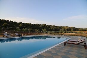 Wild Fig Retreat