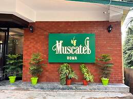 Muscatel Roma