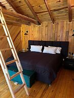 PINE TREE Hotel Boutique & Cabañas