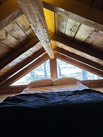 PINE TREE Hotel Boutique & Cabañas