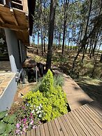 PINE TREE Hotel Boutique & Cabañas