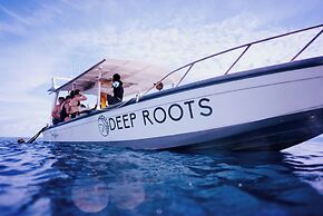 Deep Roots Dive & Yoga Resort