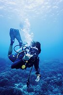 Deep Roots Dive & Yoga Resort