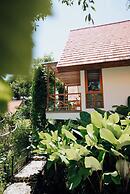 Deep Roots Dive & Yoga Resort