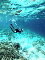 Illa Cozumel
