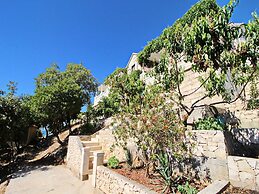 Oasis of Peace