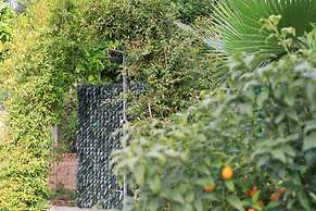 Giardino di Edo