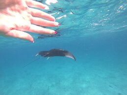 Mahchavaru Maldives