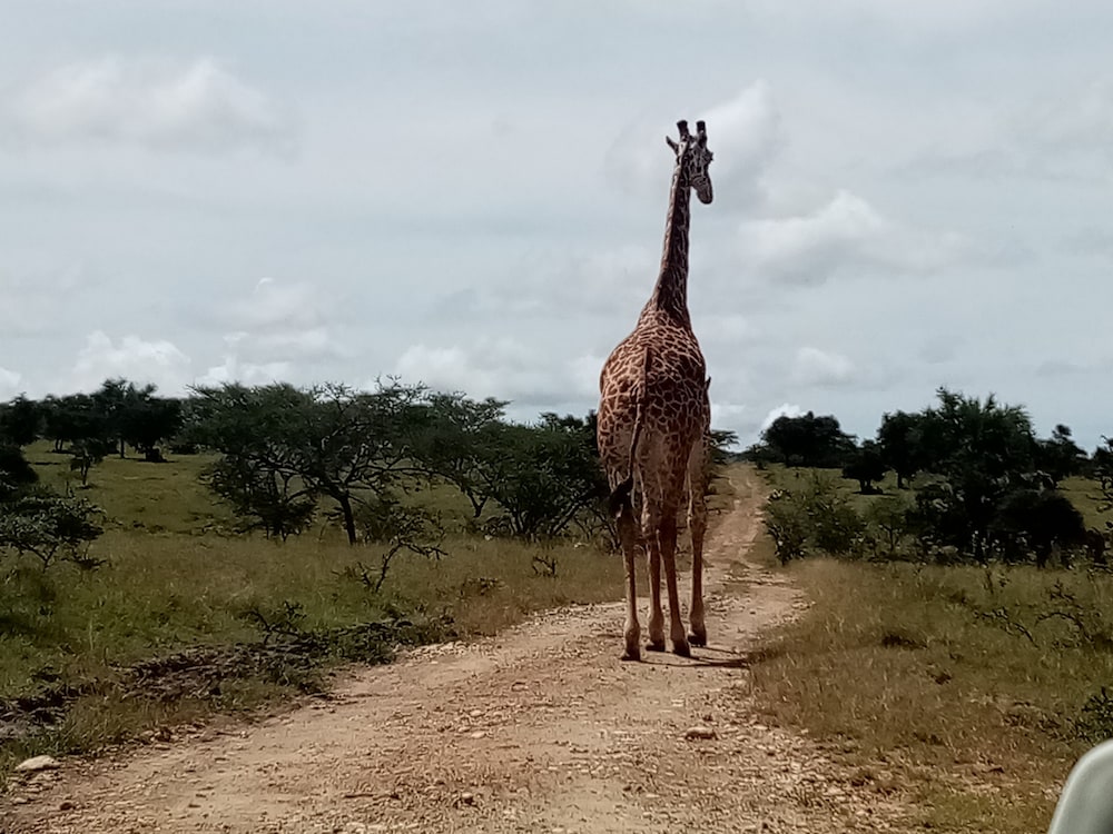 Outback Kenya Lodge