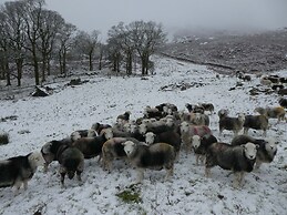 Marsh Garth