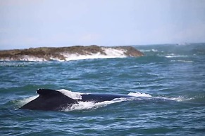 El Paraiso Azul