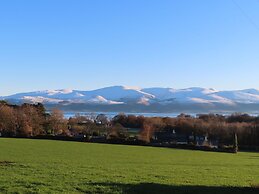 Plas Elyn