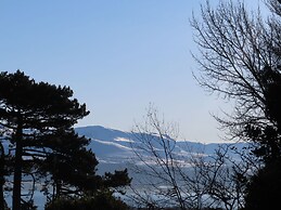 Plas Elyn