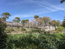 Plas Elyn