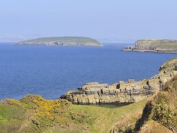 Plas Elyn