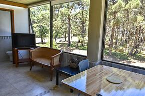 suites del bosque