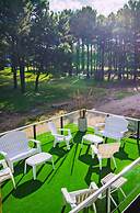 suites del bosque