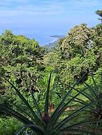 Canavida Villas & Resort