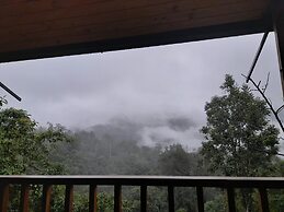 Sendero de las aves