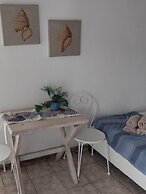 Alexia studios