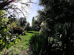 Le clos verdonnais